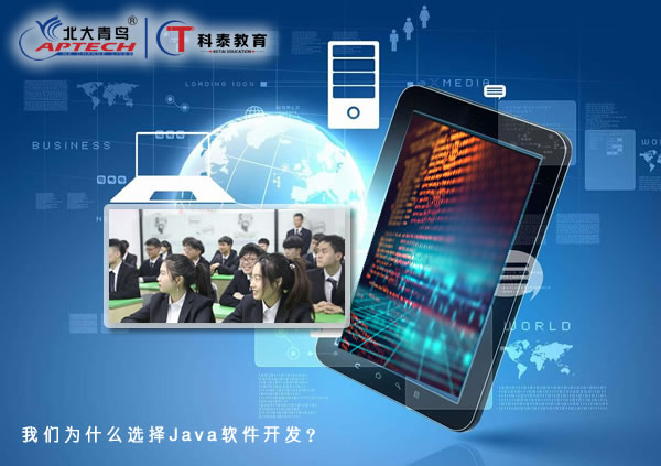 我们为什么选择Java软件开发？