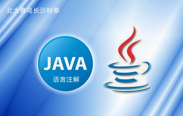 Java开发编程语言注解指南