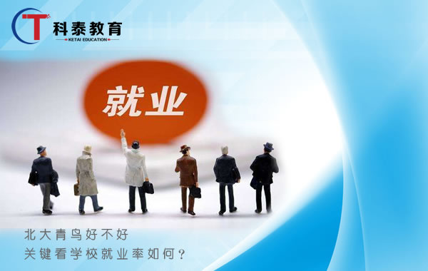北大青鸟好不好,关键看学校就业率如何? 北大青鸟好不好,关键看学校就业率如何?